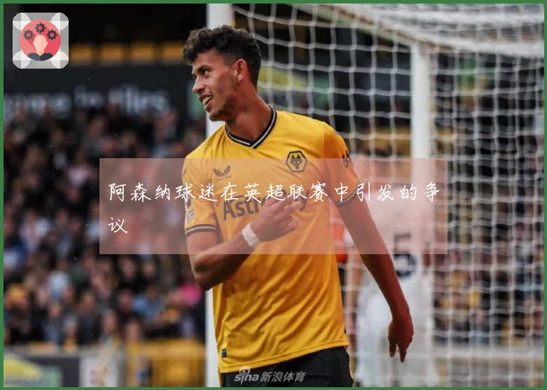 阿森纳球迷在英超联赛中引发的争议