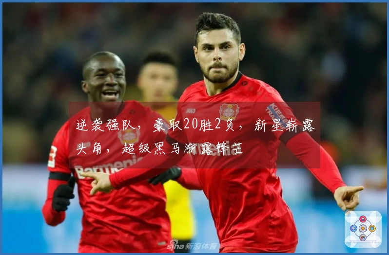 逆袭强队，豪取20胜2负，新星崭露头角，超级黑马渐露锋芒