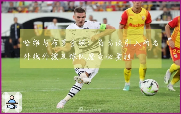 哈维与布罗金顿：乌戈谈引入两名外线外援及球队磨合必要性