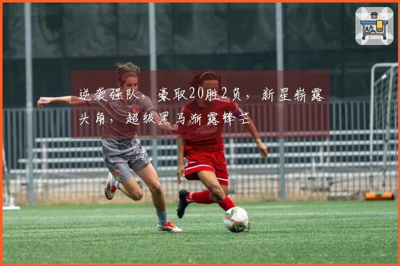 逆袭强队，豪取20胜2负，新星崭露头角，超级黑马渐露锋芒