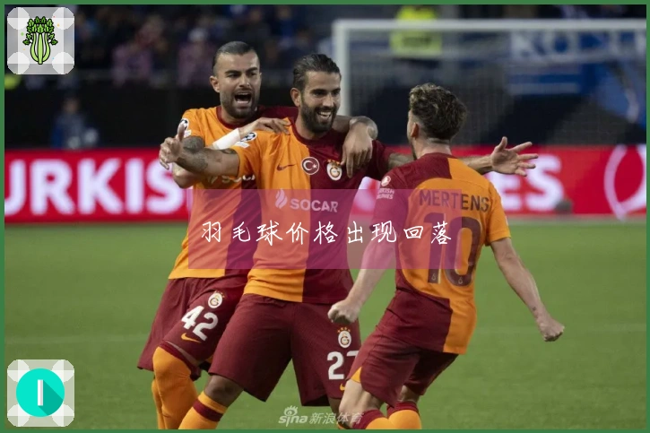 羽毛球价格出现回落