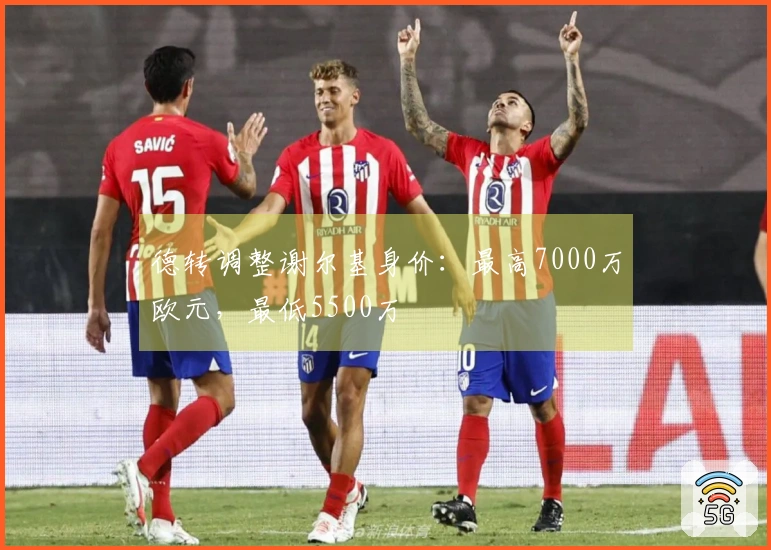 德转调整谢尔基身价：最高7000万欧元，最低5500万