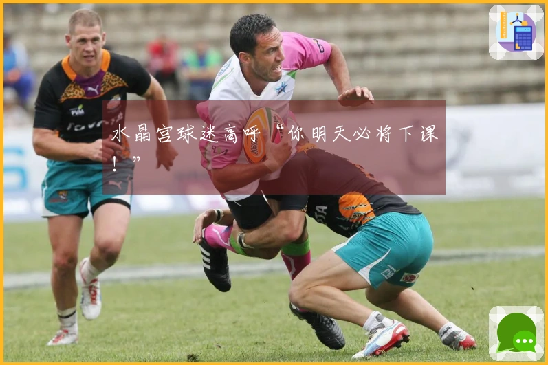 水晶宫球迷高呼“你明天必将下课！”